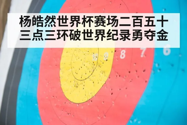 杨皓然世界杯赛场二百五十三点三环破世界纪录勇夺金